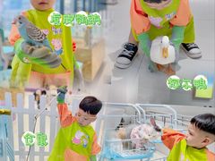 -怪兽屋·羊驼·猫咖·狗咖(俊华广场店)