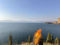 -抚仙湖禄充风景区