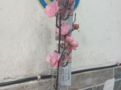 -天治宣·野椒鸡(龙头寺总店)