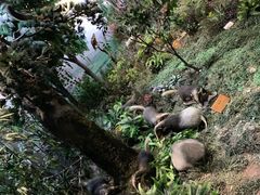 -陕西自然博物馆