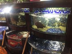 -渝君重庆火锅(嘉宾路店)