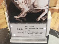 -袖虎·猫馆(体育西路店)