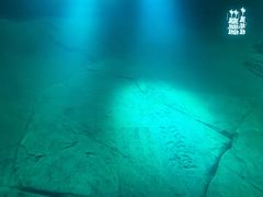 -白鹤梁水下博物馆