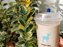 乌龙生椰乳茶-瑞幸咖啡(深圳红山6979店)
