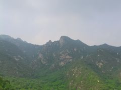-大岭沟猕猴桃谷风景区