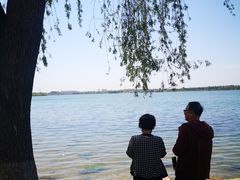 -丁香湖公园