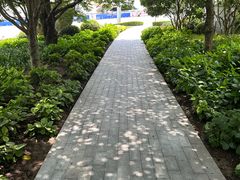 -公平路渡口(轮渡站)