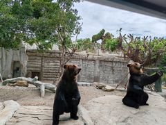 -灵玲国际马戏城
