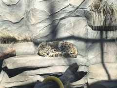 -青藏高原野生动物园