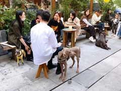 大堂-RAC BAR(安福路店)