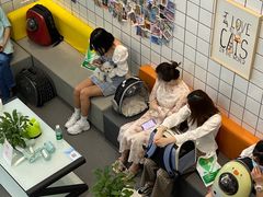 -半岛宠物医院24小时(科华中路店)