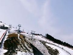 -龙口南山旅游景区