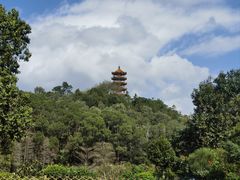 -深圳仙湖植物园