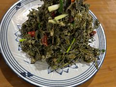 龙柏芽-陈炉印象