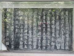 -红梅公园