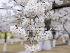 -国际非物质文化遗产博览园