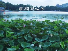 -南翔镇银翔湖公园