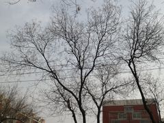 -北京市海淀区职业学校