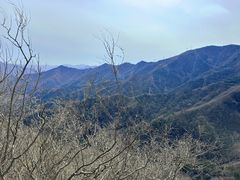-北京鹫峰国家森林公园