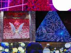 -上海梵高星空艺术馆(南京路旗舰店)