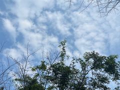 -千岛湖天屿景区