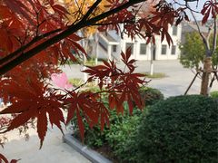 -锡师附小学(学前街校区)