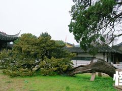 -司徒庙