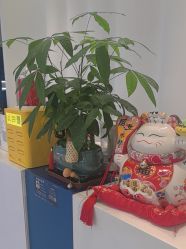 -杭州医巢医疗美容
