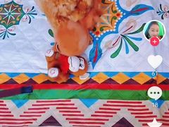 -约翰·菲茨杰拉德·肯尼迪国际机场