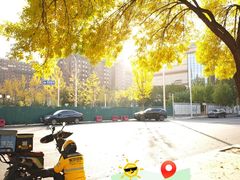 -仁和公园(顺义区)