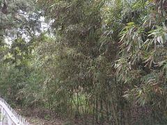 -保定市动物园