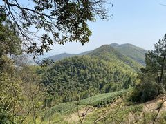 -莫干山风景区