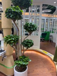 -艺米阳光Hair Salon