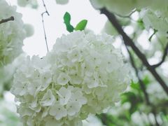 -大龙山(地铁站)