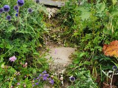 -白草畔自然风景区