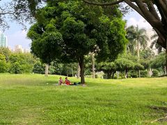 -南宁南湖公园