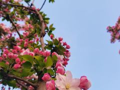 -南海子公园