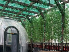 -遇见阿家村云南菜(魏公村店)