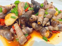 姜葱炒花螺-华盛丰温州大排档(东三环南路店)