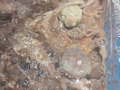 -徐记海鲜(大雁塔|金都店)