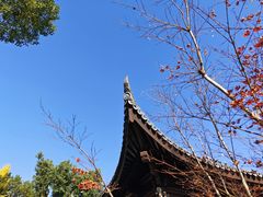 -范蠡湖公园