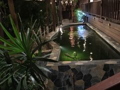 -卷心菜和避孕套餐厅(Pattaya)