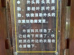 -东平国家森林公园