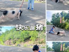 -欢乐松鼠谷