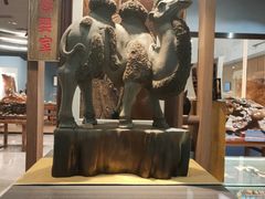 -四川宋瓷博物馆