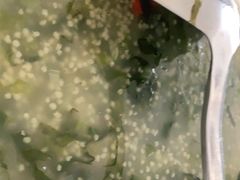 米汤青菜-兔槽江湖菜·重庆璧山兔(水围店)