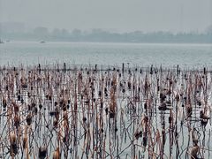 -咱家王新国把子肉(县东巷店)