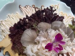 -南门四季铜锅涮肉(大屯·北苑店)