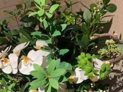 -杭州久泰饭店·粤式融合