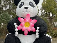 -苏州太湖国家湿地公园
